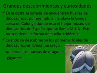 Grandes descubrimientos y curiosidades
En la costa Asturiana se encuentran huellas de
 dinosaurios , por ejemplo en la playa la Griega
 cerca de Colunga donde esta el mejor museo de
 dinosaurios de España que se llama MUJA . Este
 museo tiene la forma de huella tridáctila.
Cuando se descubrieron los primeros fósiles de
 dinosaurios en China , se creyó ,
 que eran los huesos de dragones
  gigantes .
 