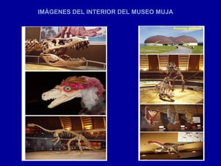 IMÁGENES DEL INTERIOR DEL MUSEO MUJA
 
