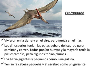 Pteranodon




 Vivieron en la tierra y en el aire, pero nunca en el mar.
 Los dinosaurios tenían las patas debajo del cuerpo para
  caminar y correr. Todos ponían huevos y la mayoría tenía la
  piel escamosa, pero algunos tenían plumas.
 Los había gigantes y pequeños como una gallina.
 Tenían la cabeza pequeña y el cerebro como un guisante.
 