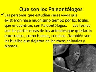 Qué son los Paleontólogos
Las personas que estudian seres vivos que
 existieron hace muchísimo tiempo por los fósiles
 que encuentran, son Paleontólogos. Los fósiles
 son las partes duras de los animales que quedaron
 enterradas , como huesos, conchas…También son
 las huellas que dejaron en las rocas animales y
 plantas.
 