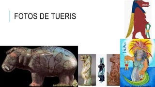 FOTOS DE TUERIS
 