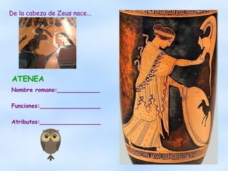 ATENEA  Nombre romano:____________ Funciones:_________________ Atributos:_________________ De la cabeza de Zeus nace... 