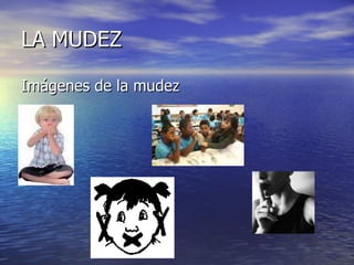 LA MUDEZ Imágenes de la mudez 