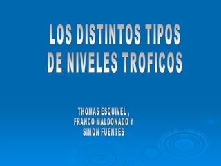 LOS DISTINTOS TIPOS  DE NIVELES TROFICOS THOMAS ESQUIVEL , FRANCO MALDONADO Y SIMON FUENTES 