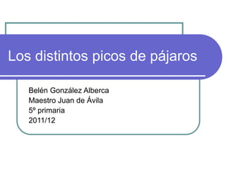 Los distintos picos de pájaros
Belén González Alberca
Maestro Juan de Ávila
5º primaria
2011/12
 