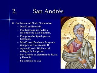 2.  San Andrés Su fiesta es el 30 de Noviembre. Nació en Betsaida. Fue hermano de Pedro y discípulo de Juan Bautista. Fue pescador igual que su hermano. Murió crucificado en Acaya en tiempos de Constancio II Apareció en la Biblia en el milagro de los peces. San Andrés es el patrón de Rusia y Escocia. Su simbolo es la X  