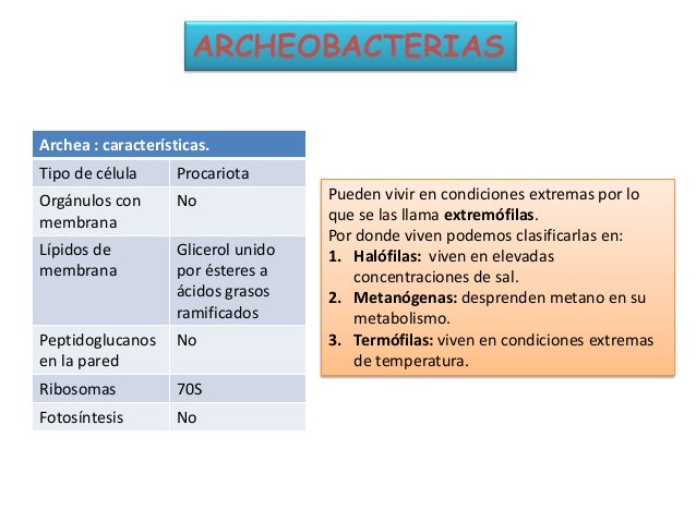 Los dominios archeobacteria y eubacteria. reino monera