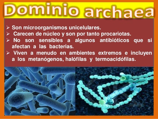 Los dominios biológicos