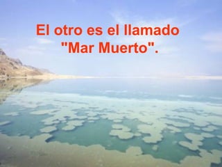 El otro es el llamado
    "Mar Muerto".
 