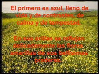 El primero es azul, lleno de
 vida y de contrastes, de
  calma y de tempestad.

 En sus orillas se reflejan
 delicadamente las flores
amarillas de sus bellísimas
         praderas.
 