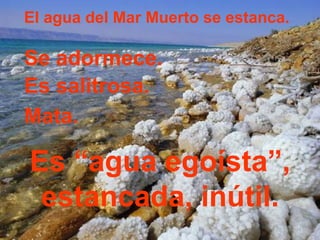 El agua del Mar Muerto se estanca.

Se adormece.
Es salitrosa.
Mata.

Es “agua egoísta”,
 estancada, inútil.
 
