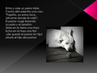 Entra y sale un perro triste: Canta allá adentro una voz–"Pajarito, yo estoy loca, Llévame donde él voló!": El pastor coge llorandoLa pala y el azadón: Abre en la tierra una fosa: Echa en la fosa una flor: –¡Se quedó el pastor sin hijo! ¡Murió el hijo del pastor!