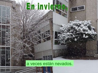 En invierno,  a veces están nevados. 