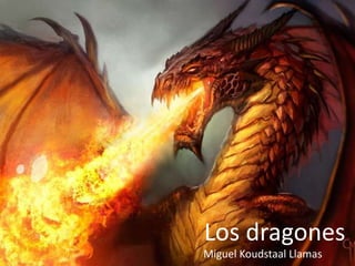 Los dragones
Miguel Koudstaal Llamas
 