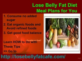 Lose Belly Fat Diet Meal Plans for You ,[object Object],[object Object],[object Object],[object Object],[object Object],[object Object],http://losebellyfatcafe.com/   