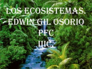 LOS ECOSISTEMAS.
Edwin gil osorio
       pfc
      iiic.
 