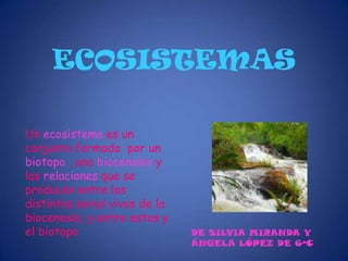 ECOSISTEMAS Un ecosistema es un conjunto formado  por un biotopo , una biocenosis y las relaciones que se producen entre los distintos seres vivos de la biocenosis, y entre estos y el biotopo  DE SILVIA MIRANDA Y ÁNGELA LÓPEZ DE 6ºC 