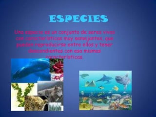 La biocenosis, que  es el conjunto de seres vivos que hay el biotopo