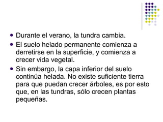 Durante el verano, la tundra cambia. El suelo helado permanente comienza a derretirse en la superficie, y comienza a crecer vida vegetal. Sin embargo, la capa inferior del suelo continúa helada. No existe suficiente tierra para que puedan crecer árboles, es por esto que, en las tundras, sólo crecen plantas pequeñas.  