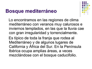 Bosque mediterráneo Lo encontramos en las regiones de clima mediterráneo con veranos muy calurosos e inviernos templados, en las que la lluvia cae con gran irregularidad y torrencialmente.  Es típico de toda la franja que rodea al Mediterráneo y de algunos lugares de California y África del Sur. En la Península Ibérica ocupa amplias áreas, a veces mezclándose con el bosque caducifolio.  