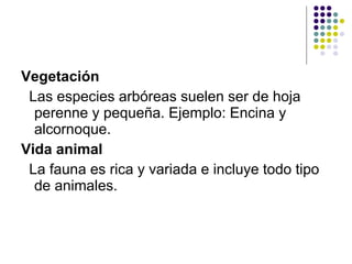 Vegetación   Las especies arbóreas suelen ser de hoja perenne y pequeña. Ejemplo: Encina y alcornoque.  Vida animal   La fauna es rica y variada e incluye todo tipo de animales.  