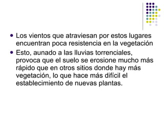 Los vientos que atraviesan por estos lugares encuentran poca resistencia en la vegetación  Esto, aunado a las lluvias torrenciales, provoca que el suelo se erosione mucho más rápido que en otros sitios donde hay más vegetación, lo que hace más difícil el establecimiento de nuevas plantas.  