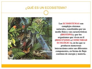 ¿QUÉ ES UN ECOSISTEMA?Los ECOSISTEMAS son complejos sistemas naturales, constituidos por un medio físico y sus características (BIOTOPO) y por los organismos que viven en él (BIOCENOSIS o COMUNIDAD ECOLÓGICA), en los que se producen numerosas interacciones entre sus diferentes componentes, en forma de flujo continuo de energía y materia.
