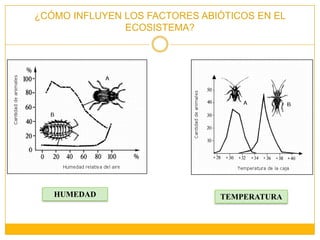 HUMEDADTEMPERATURA¿CÓMO INFLUYEN LOS FACTORES ABIÓTICOS EN EL ECOSISTEMA?