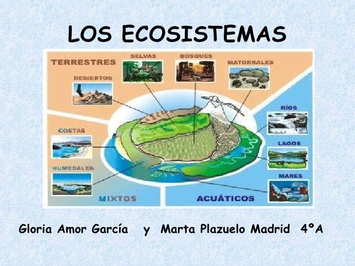 Los Ecosistemas