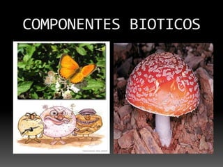 COMPONENTES BIOTICOS