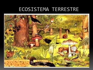 ECOSISTEMA TERRESTRE