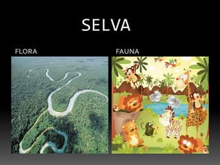SELVAFLORAFAUNA