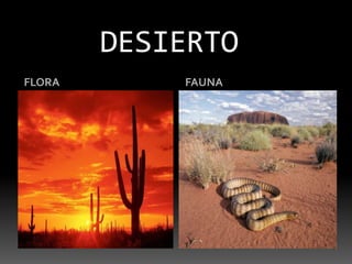 DESIERTOFLORAFAUNA