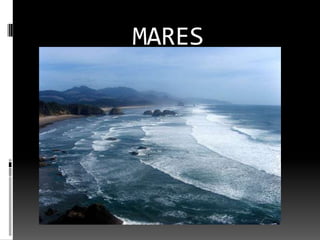 MARES