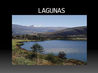 LAGUNAS