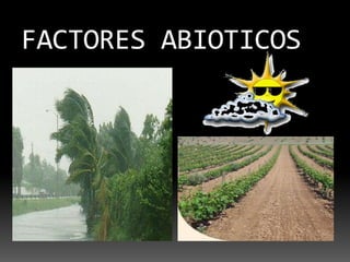 FACTORES ABIOTICOS