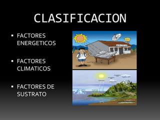 CLASIFICACIONFACTORES ENERGETICOSFACTORES CLIMATICOSFACTORES DE SUSTRATO