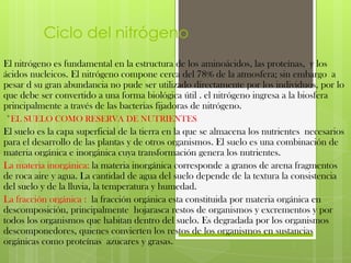 Ciclo del nitrógenoEl nitrógeno es fundamental en la estructura de los aminoácidos, las proteínas,  y los ácidos nucleicos. El nitrógeno compone cerca del 78% de la atmosfera; sin embargo  a pesar d su gran abundancia no pude ser utilizado directamente por los individuos, por lo que debe ser convertido a una forma biológica útil . el nitrógeno ingresa a la biosfera principalmente a través de las bacterias fijadoras de nitrógeno. *EL SUELO COMO RESERVA DE NUTRIENTES El suelo es la capa superficial de la tierra en la que se almacena los nutrientes  necesarios  para el desarrollo de las plantas y de otros organismos. El suelo es una combinación de materia orgánica e inorgánica cuya transformación genera los nutrientes.La materia inorgánica: la materia inorgánica corresponde a granos de arena fragmentos de roca aire y agua. La cantidad de agua del suelo depende de la textura la consistencia del suelo y de la lluvia, la temperatura y humedad.La fracción orgánica :  la fracción orgánica esta constituida por materia orgánica en descomposición, principalmente  hojarasca restos de organismos y excrementos y por todos los organismos que habitan dentro del suelo. Es degradada por los organismos descomponedores, quienes convierten los restos de los organismos en sustancias orgánicas como proteínas  azucares y grasas.