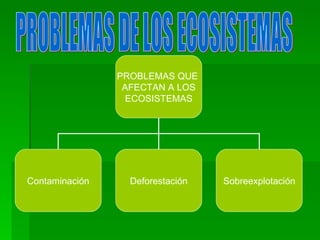 PROBLEMAS DE LOS ECOSISTEMAS PROBLEMAS QUE  AFECTAN A LOS ECOSISTEMAS Contaminación Deforestación Sobreexplotación 