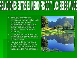 El medio físico de un ecosistema influye sobre todo en la vegetación. Así dependiendo del clima, del suelo y del relieve, podrá haber bosques, praderas, desiertos, … La vegetación determina los animales que puede haber en el ecosistema. Por otro lado los humanos también modifican el medio físico. Las plantas con sus raíces pueden romper rocas. RELACIONES ENTRE EL MEDIO FÍSICO Y  LOS SERES VIVOS 