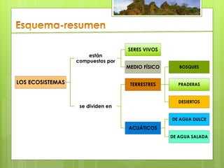 SERES VIVOS
                      están
                  compuestos por
                                   MEDIO FÍSICO      BOSQUES


LOS ECOSISTEMAS                     TERRESTRES      PRADERAS


                                                     DESIERTOS
                   se dividen en

                                                  DE AGUA DULCE

                                   ACUÁTICOS
                                                  DE AGUA SALADA
 