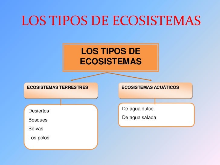 Los ecosistemas