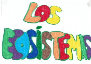 Los ecosistemas