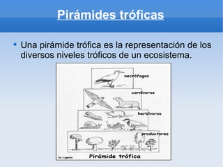 Pirámides tróficas


    Una pirámide trófica es la representación de los
    diversos niveles tróficos de un ecosistema.
 