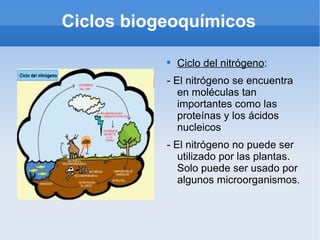 Ciclos biogeoquímicos

           
               Ciclo del nitrógeno:
           - El nitrógeno se encuentra
              en moléculas tan
              importantes como las
              proteínas y los ácidos
              nucleicos
           - El nitrógeno no puede ser
              utilizado por las plantas.
              Solo puede ser usado por
              algunos microorganismos.
 