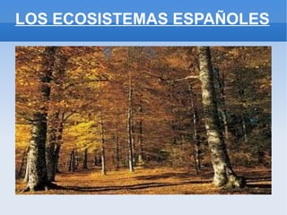 LOS ECOSISTEMAS ESPAÑOLES
 