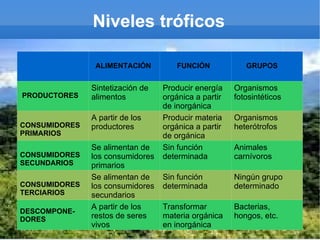 Niveles tróficos

                ALIMENTACIÓN          FUNCIÓN            GRUPOS


               Sintetización de   Producir energía    Organismos
PRODUCTORES    alimentos          orgánica a partir   fotosintéticos
                                  de inorgánica
               A partir de los    Producir materia    Organismos
CONSUMIDORES   productores        orgánica a partir   heterótrofos
PRIMARIOS                         de orgánica
               Se alimentan de    Sin función         Animales
CONSUMIDORES   los consumidores   determinada         carnívoros
SECUNDARIOS    primarios
               Se alimentan de    Sin función         Ningún grupo
CONSUMIDORES   los consumidores   determinada         determinado
TERCIARIOS     secundarios
               A partir de los    Transformar         Bacterias,
DESCOMPONE-
DORES          restos de seres    materia orgánica    hongos, etc.
               vivos              en inorgánica
 