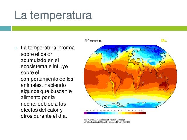 Los ecosistemas