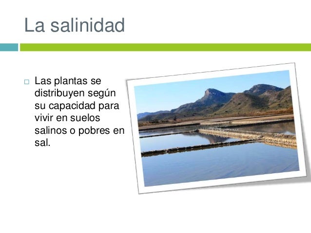 Los ecosistemas