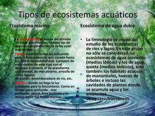 Tipos de ecosistemas acuáticos
Ecosistema marino
• La oceanografía se ocupa del estudio
de estos ecosistemas. Pueden ser de
dos tipos dependiendo de la luz solar
que reciben:
• Fótico: Cuando recibe luz suficiente
para la fotosíntesis lo que sucede hasta
los 200 m de profundidad. Ejemplos de
ecosistemas de este tipo son el
de playa o costero, el de plataforma
continental, de mar abierto, arrecife de
coral, laguna
de atolón, desembocadura de río, etc.
• Afótico: Donde no llega la luz
suficiente para la fotosíntesis. Como en
el mar poco profundo , mar
profundo, abisal, fosa oceánica y la
mayor parte del fondo marino.
Ecosistema de agua dulce
• La limnología se ocupa del
estudio de los ecosistemas
de ríos y lagos. En este grupo
no sólo se consideran los
ecosistemas de agua corriente
(medios lóticos) y los de agua
quieta (medios lénticos), sino
también los hábitats acuosos
de manantiales, huecos de
árboles e incluso las
cavidades de plantas donde
se acumula agua y los
ambientes
de aguassubterráneas
 